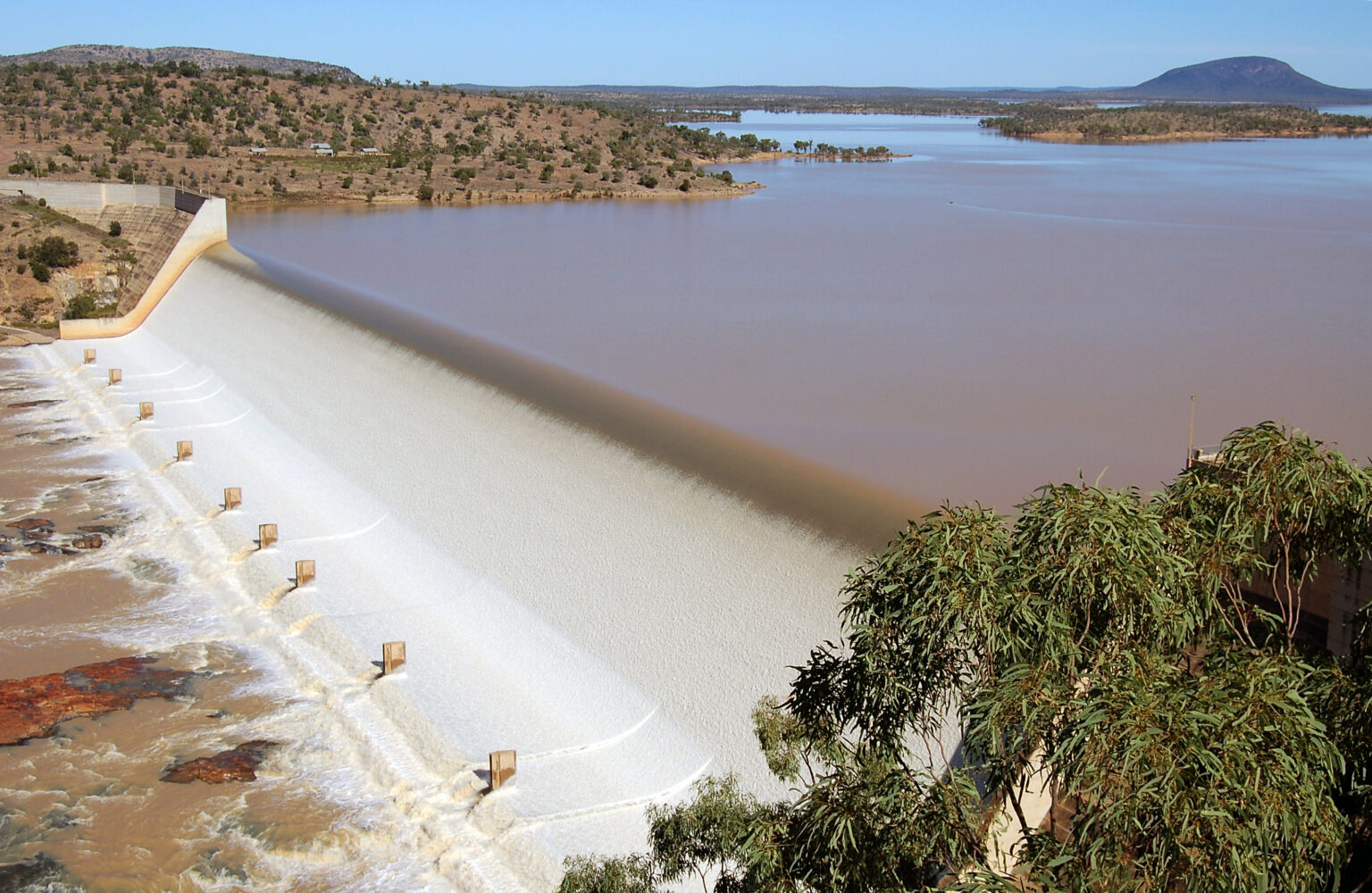 Threats to Biodiversity in Australia’s Burdekin River Basin